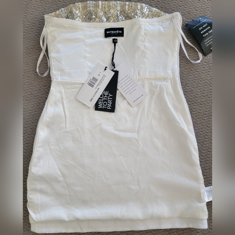Retrofete Silver Mini Dress - Picture 12 of 13